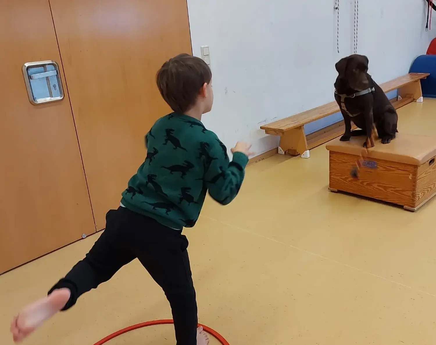 Die Hunde AG - Annette Großmann - Kindertherapiebegleithund