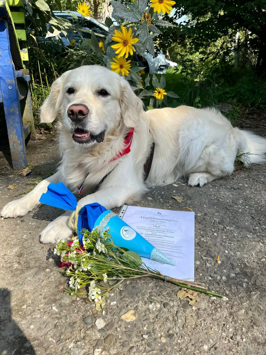 Die Hunde AG - Annette Großmann - Ein Hund, der sich neben einem Blatt Papier und einigen Blumen auf dem Boden ausruht