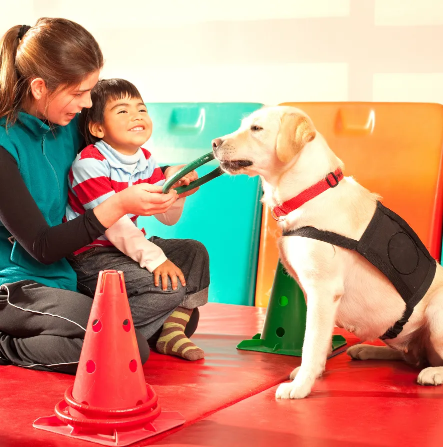 Die Hunde AG - Annette Großmann - Eine Frau und ein Kind spielen mit einem Hund in einem Haus