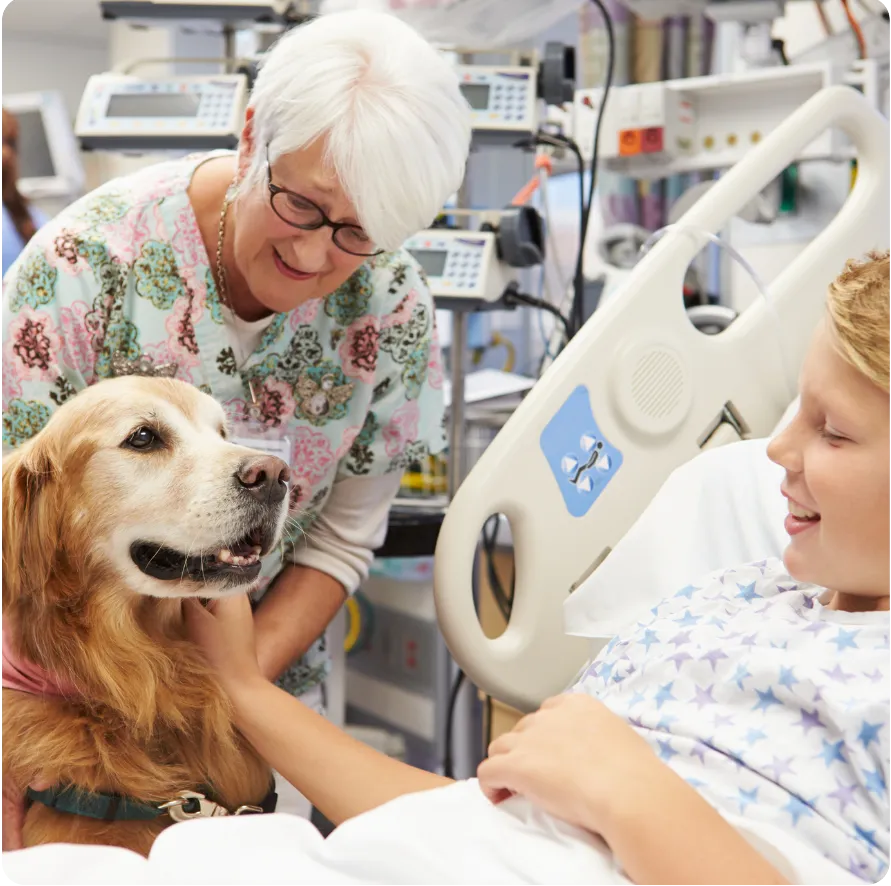 Die Hunde AG - Annette Großmann - Eine ältere Frau und ein Kind sitzen zusammen in einem Krankenhausbett, begleitet von einem Hund, der eine Hundetherapie macht.