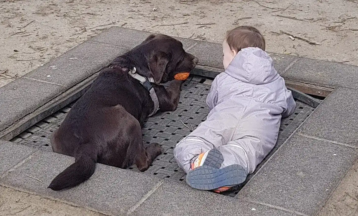 Die Hunde AG - Annette Großmann - Kinder auf dem Boden liegend, begleitet von einem Hund
