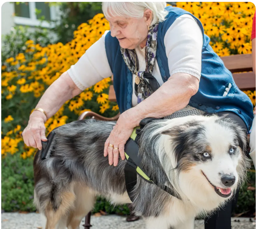 Die Hunde AG - Annette Großmann - Seniorin hält ihren Begleithund
